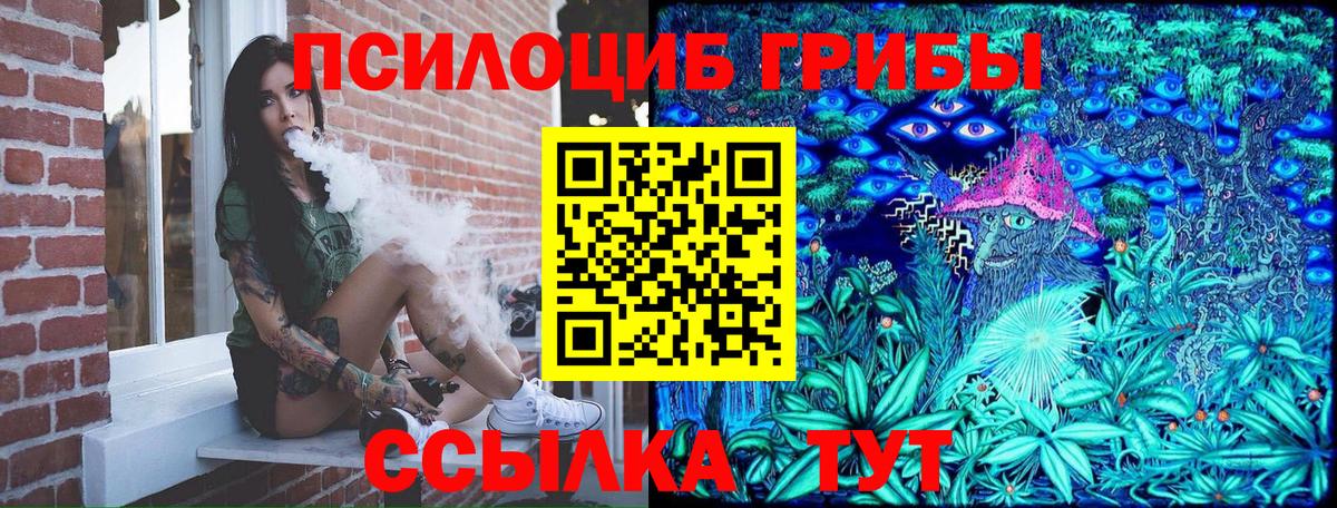 Вязьма  Галлюциногенные грибы прущие грибы  Вход с VPN 