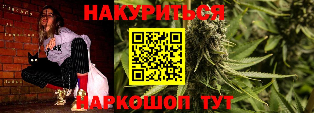 Каннабис сатива Вязьма